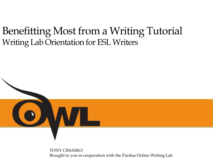 Mastering Writing Skills: ESL Writing Lab Tutorial Insights