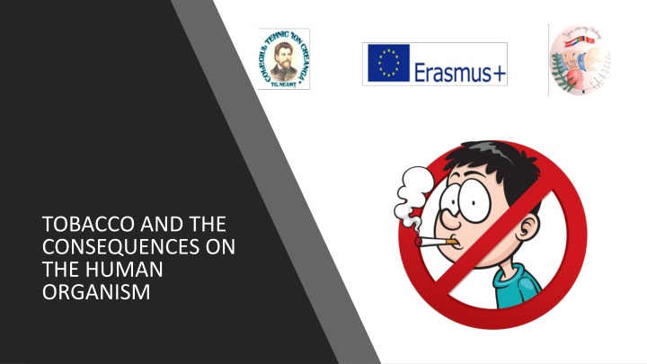 Tobacco and Its Impact on Health