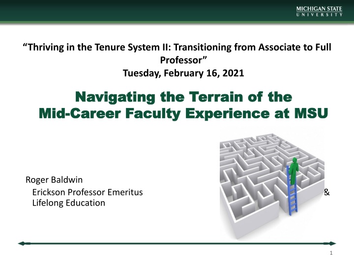 Navigating Mid-Career Faculty Challenges at MSU