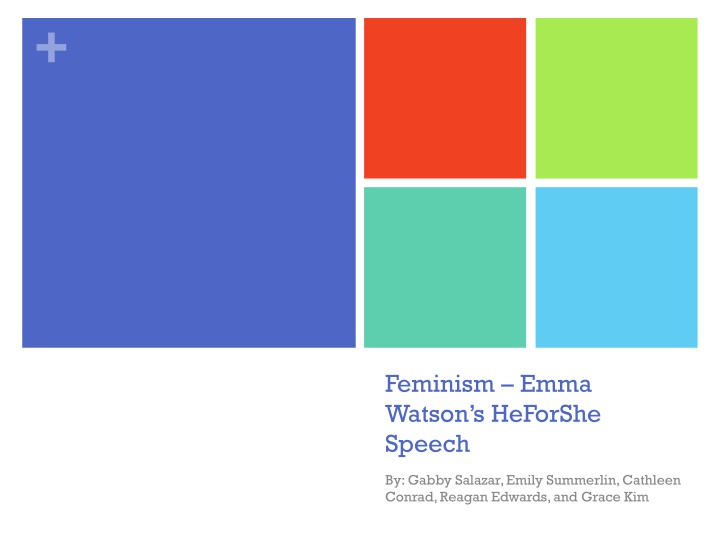 Feminism: Theory of Equality in Leadership