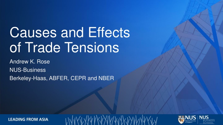 Causes and Effects of Trade Tensions
