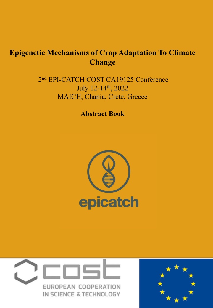 Epigenetic Mechanisms of Crop Adaptation to Climate Change