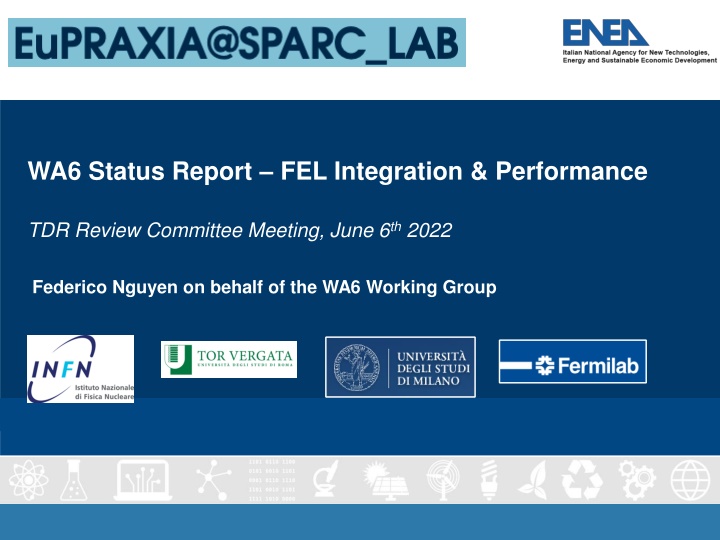 FEL Integration & Performance Review Meeting Summary
