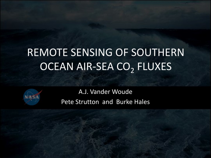 Remote Sensing of Southern Ocean CO2 Fluxes