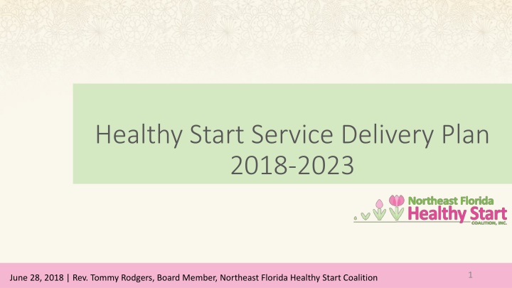 Healthy Start Service Delivery Plan 2018-2023 Overview