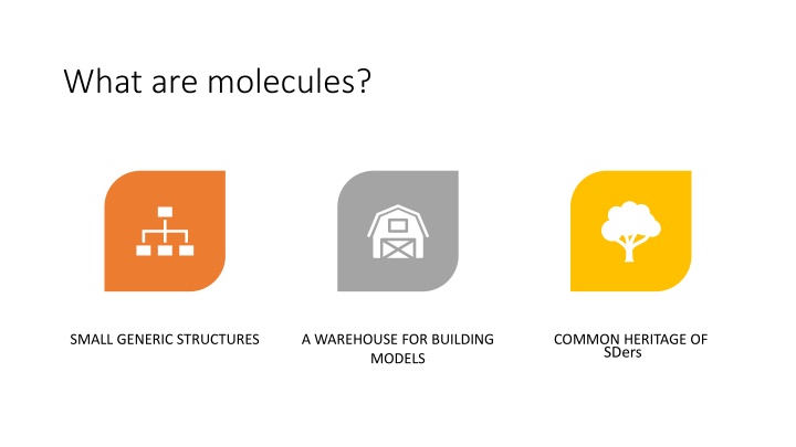 Unveiling Molecules: Small Structures, Common Heritage