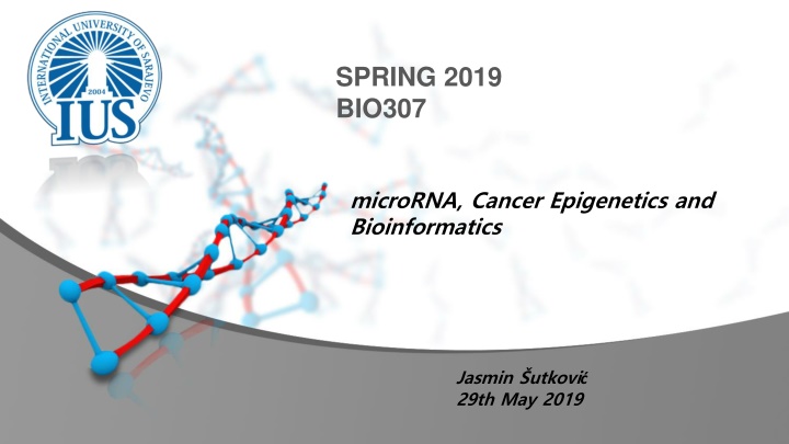 MicroRNA and Epigenetics in Cancer Using Bioinformatics