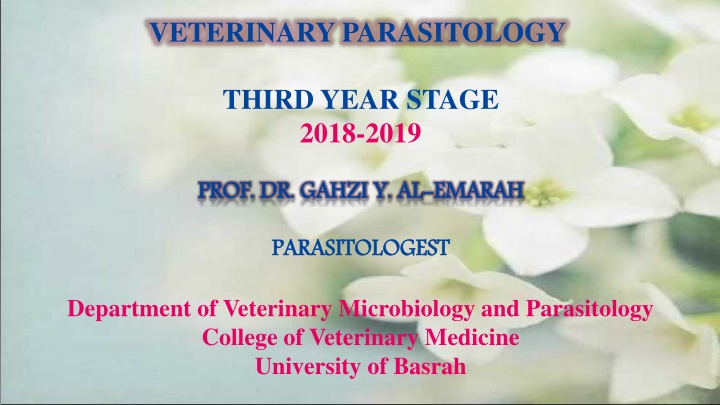 Veterinary Parasitology: Nematode Toxocara canis General Characteristics and Life Cycle