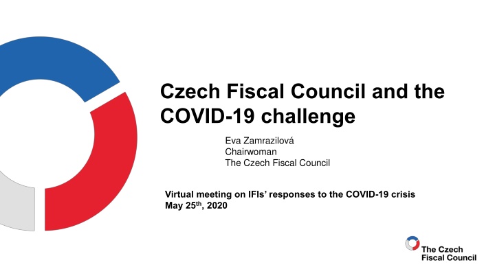 Czech Fiscal Council and the  COVID-19 challenge