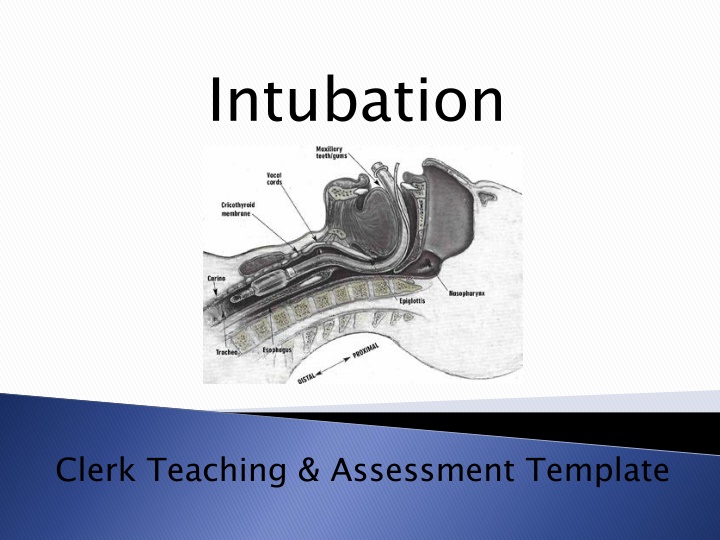 Intubation Clerk Teaching & Assessment Template