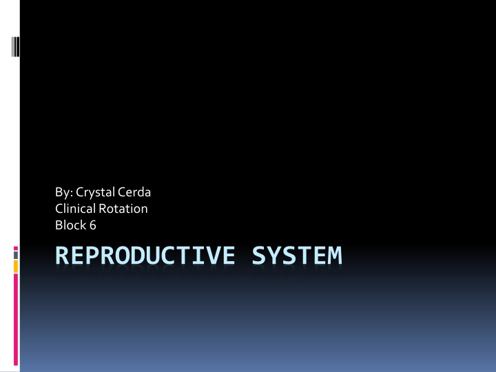 Functions of Reproductive System in Males and Females