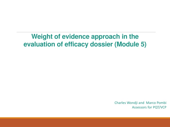 Weight of Evidence in Efficacy Dossier Evaluation