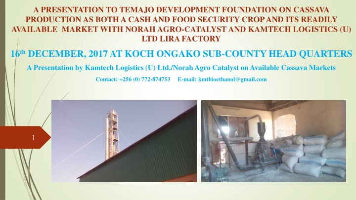 Cassava Production and Market Opportunities in Northern Uganda