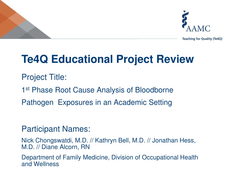 Te4Q Educational Project Review