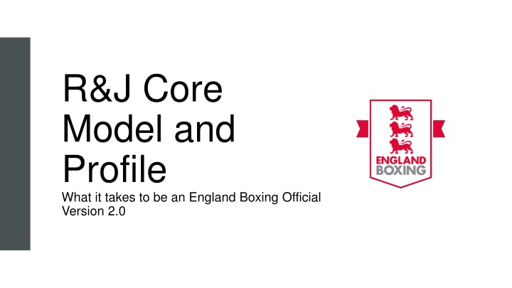 What it Takes to be an England Boxing Official - Core Profile