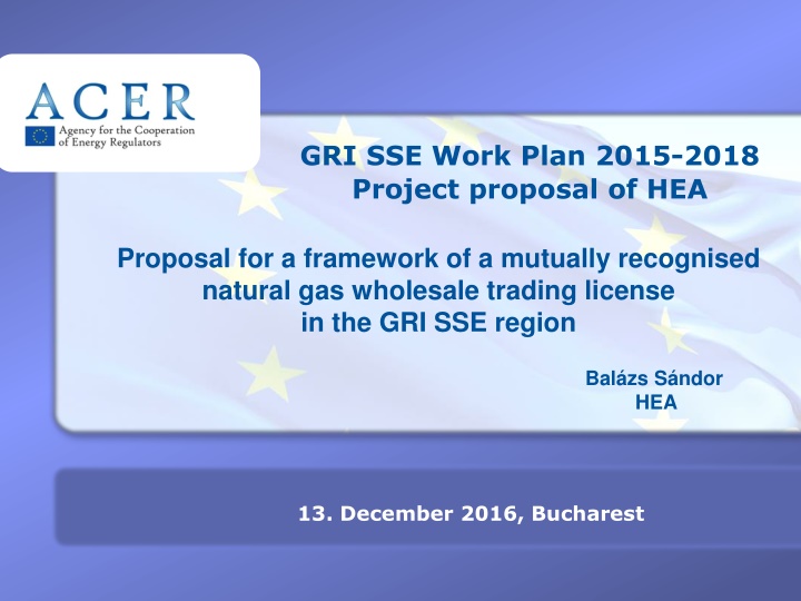 Proposal for a Mutually Recognised Gas Wholesale Trading License Framework