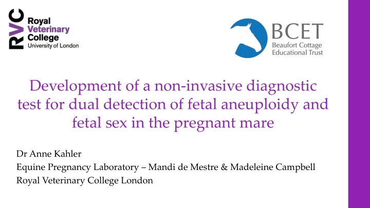 Non-Invasive Equine NIPT for Fetal Aneuploidy & Sex Detection