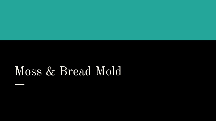 Relationship Between Bread Mold and Moss