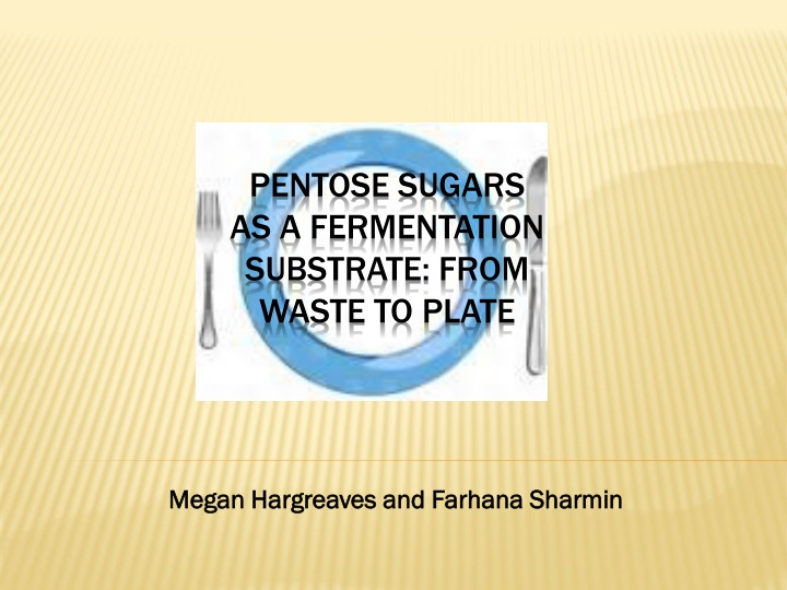Potential of Pentose Sugars as Fermentation Substrate