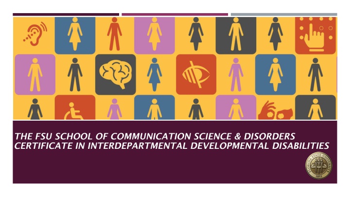 Certificate in Developmental Disabilities: Program Overview
