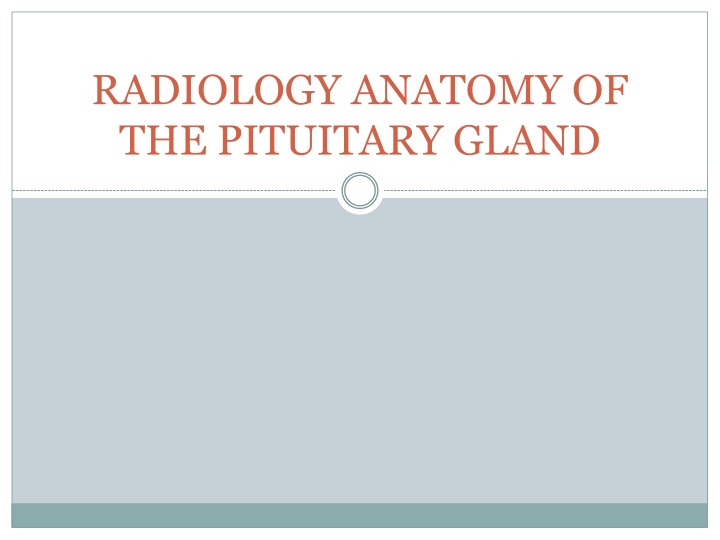 Radiology Anatomy of the Pituitary Gland