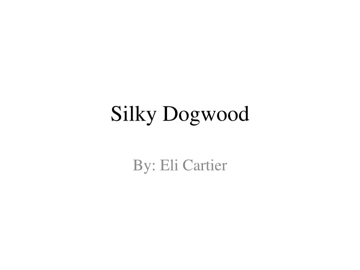 Silky Dogwood: Beautiful Shrub for Gardens