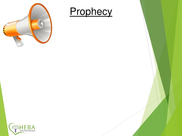 Saeeda's Sunlight Contract and Health Journey