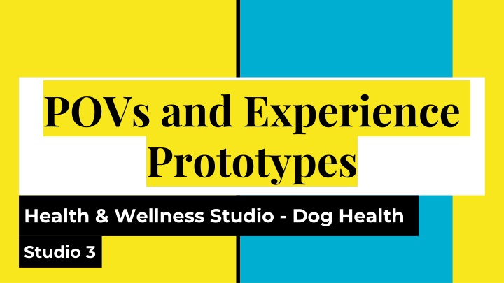 POVs and Experience Prototypes