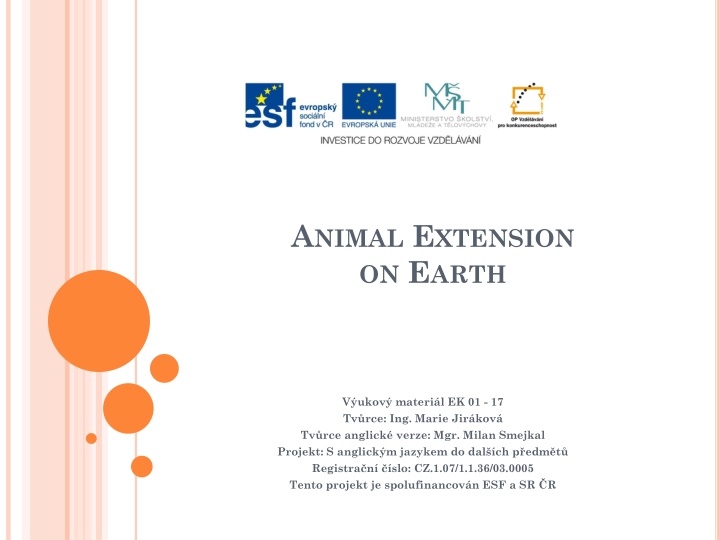 Animal Distribution on Earth