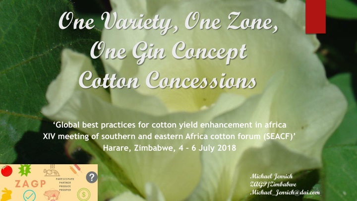 Enhancing Cotton Yield in Africa - Best Practices