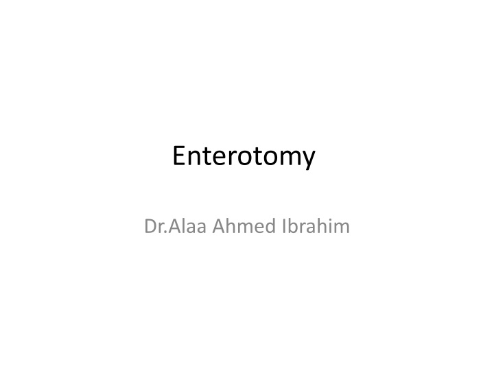 Enterotomy in Dogs and Cats: Anatomy and Procedure