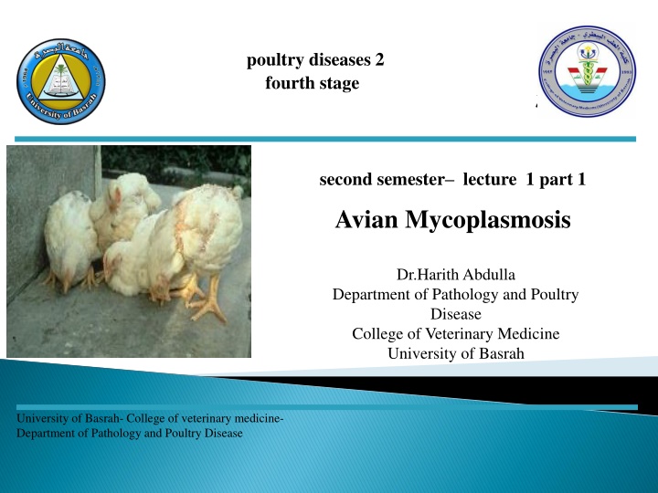 Avian Mycoplasmosis - Causes, Symptoms, and Control Measures