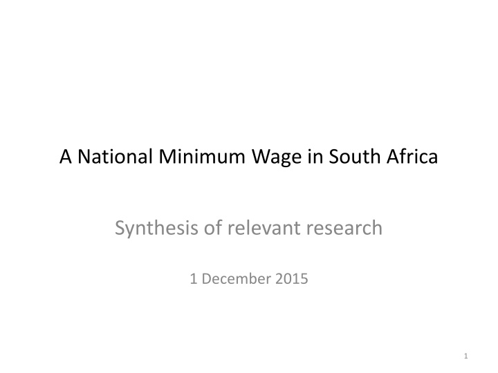 National Minimum Wage Research Synthesis in South Africa