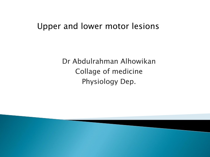 Upper and Lower Motor Neurons