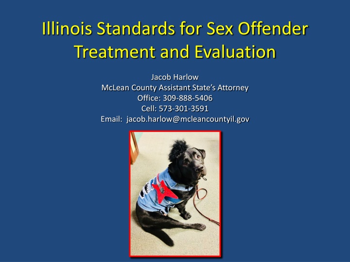 Illinois Sex Offender Case Studies and Sentencing Oversight