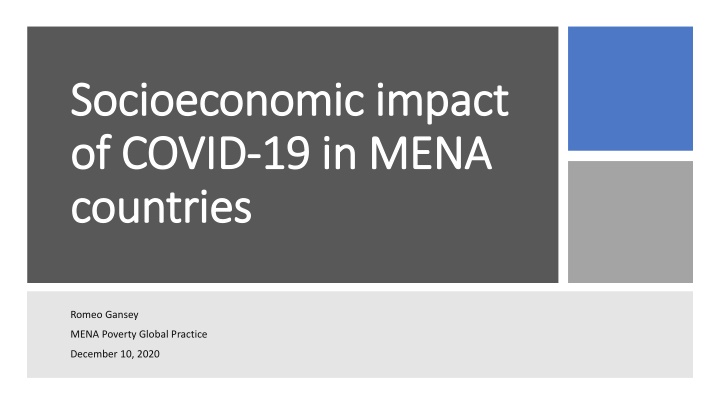 Socioeconomic Impact of COVID-19 in MENA Countries
