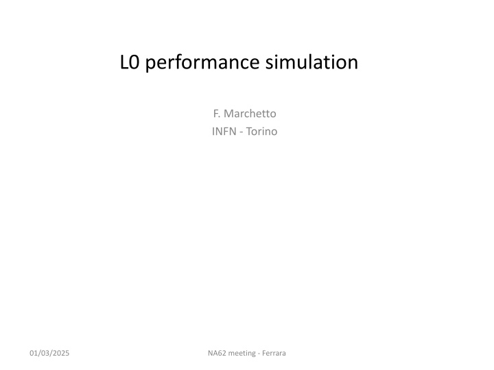 Efficiency Improvement in L0 Performance Simulation Using Primitives Alignment