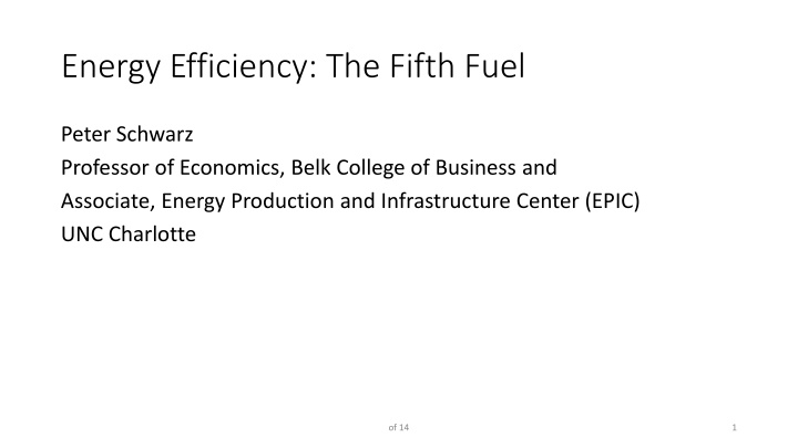 Energy Efficiency: The Fifth Fuel and Economic Perspectives