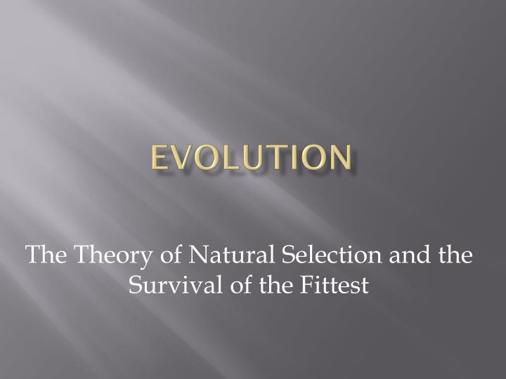Theory of Natural Selection & Survival of the Fittest Overview