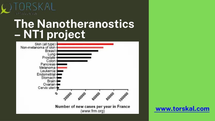 the nanotheranostics nt1 project n.w