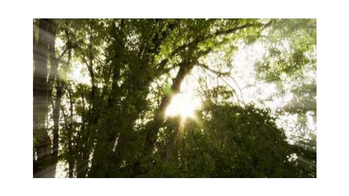 Wisdom & Compassion: Proverbs to Luke