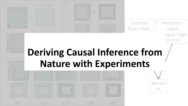 Deriving Causal Inference from Nature