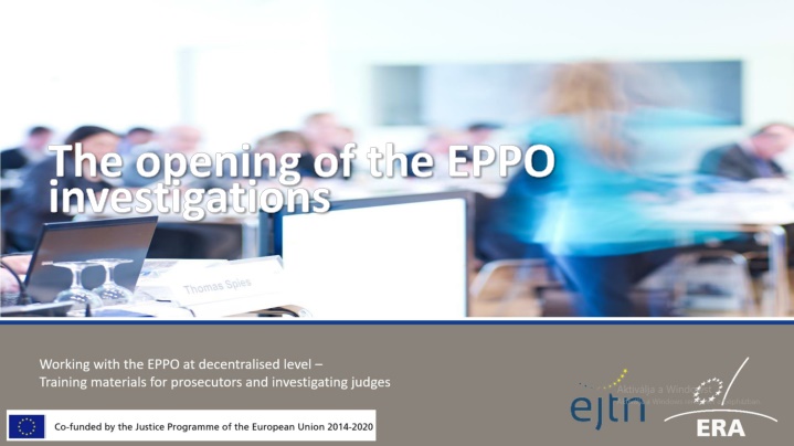 EPPO Investigations Process Overview