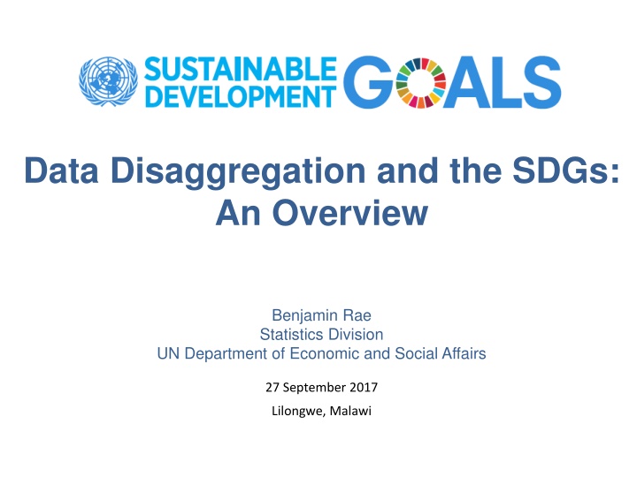Data Disaggregation and the SDGs: An Overview