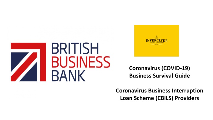 Coronavirus Business Interruption Loan Scheme (CBILS) Providers