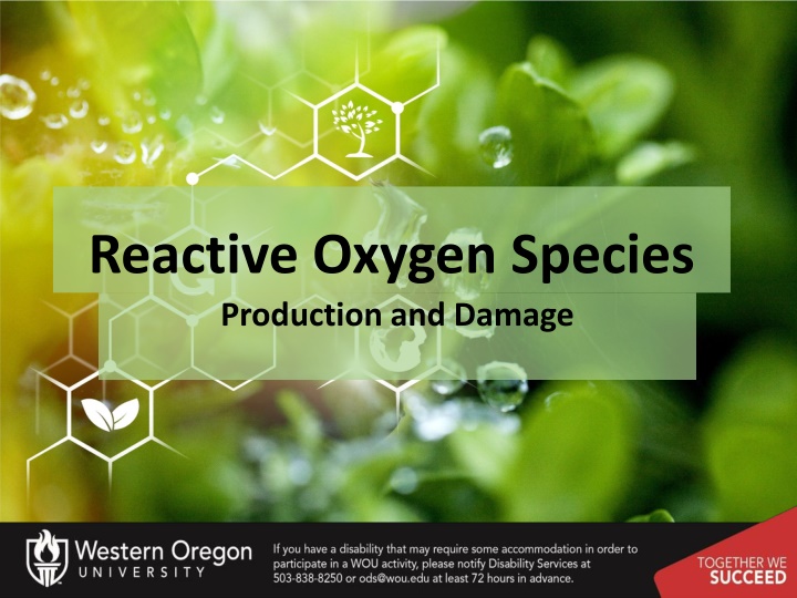 Producing Oxygen and Testing Concentration