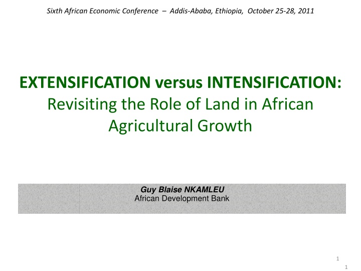 Revisiting the Role of Land in African Agricultural Growth