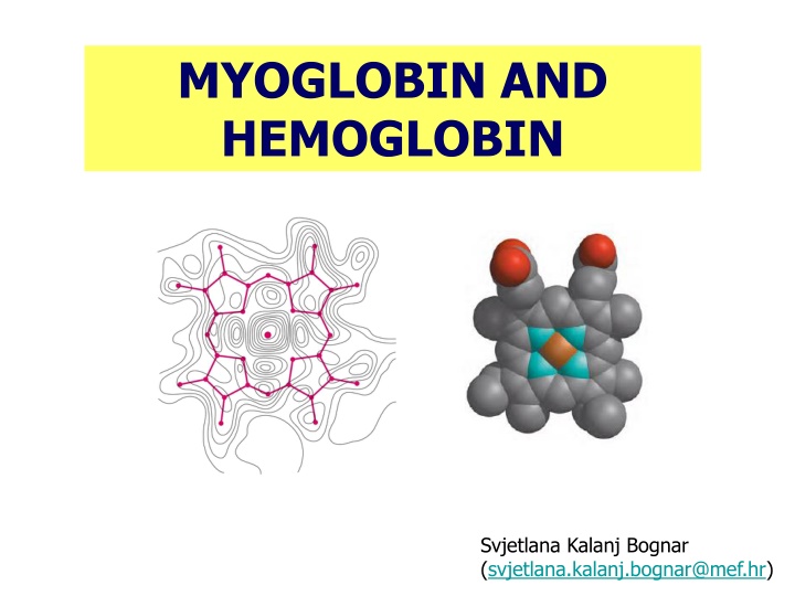 Myoglobin and Hemoglobin: Oxygen-Binding Proteins in Evolutionary Demands