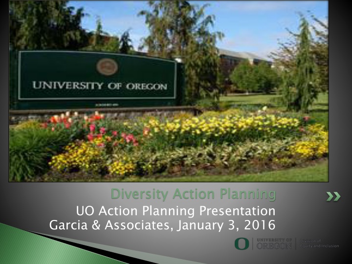 Creating a Diverse Action Plan