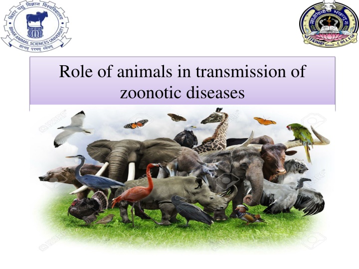 Role of animals in transmission of Zoonotic Disease